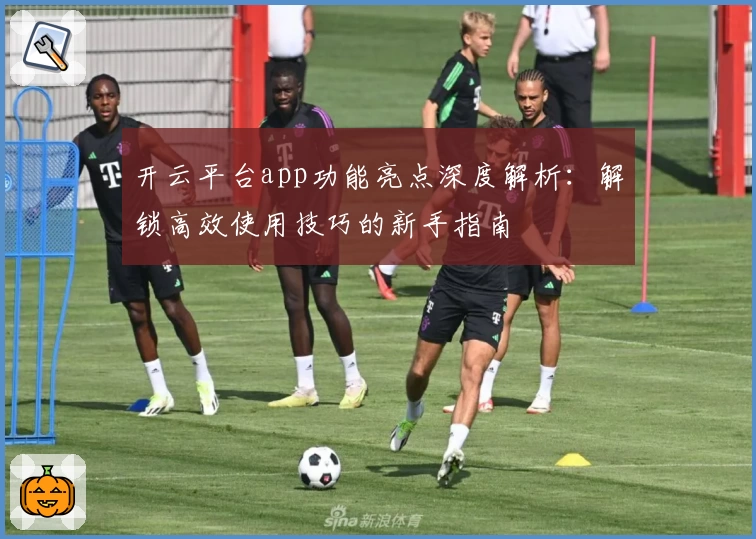 开云平台app功能亮点深度解析:解锁高效使用技巧的新手指南