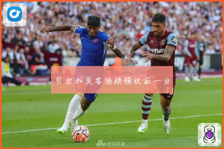 贝尔加莫客场顽强收获一分