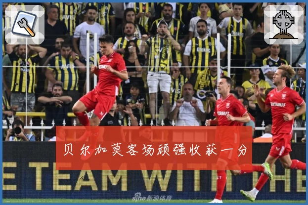 贝尔加莫客场顽强收获一分